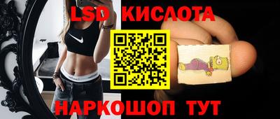 мет Кингисепп