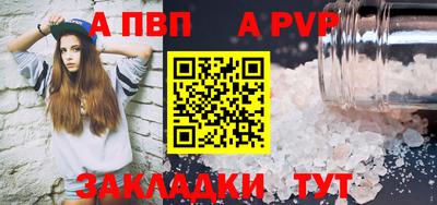 мет Кингисепп