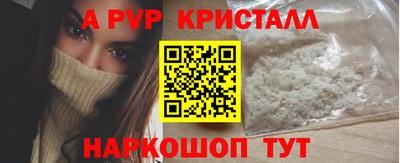 мет Кингисепп