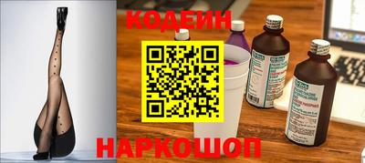 мет Кингисепп
