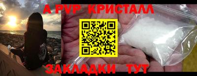 мет Кингисепп