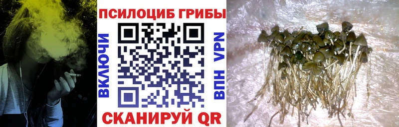 Псилоцибиновые грибы мухоморы  цены наркотик  Тихвин 