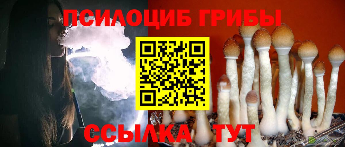 Галлюциногенные грибы мицелий  Вход с VPN  Тихвин 